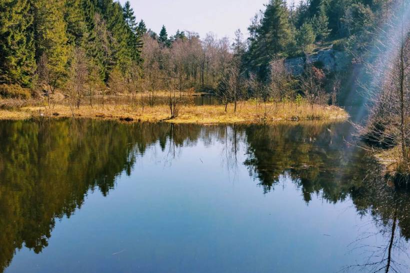 Foto von Ferienhaus NT31 in Svaneke - Bornholm