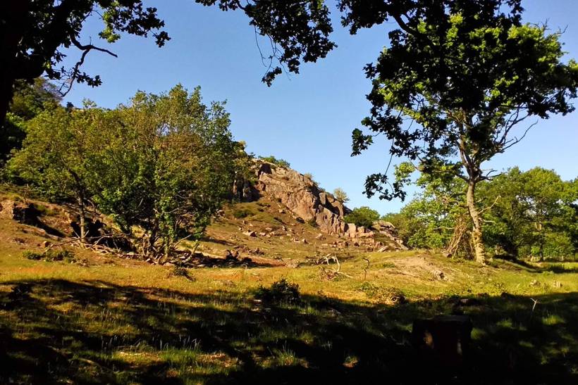 Foto von Ferienhaus NT31 in Svaneke - Bornholm