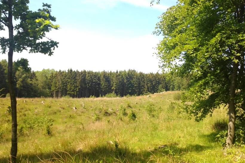 Foto von Ferienhaus NT31 in Svaneke - Bornholm