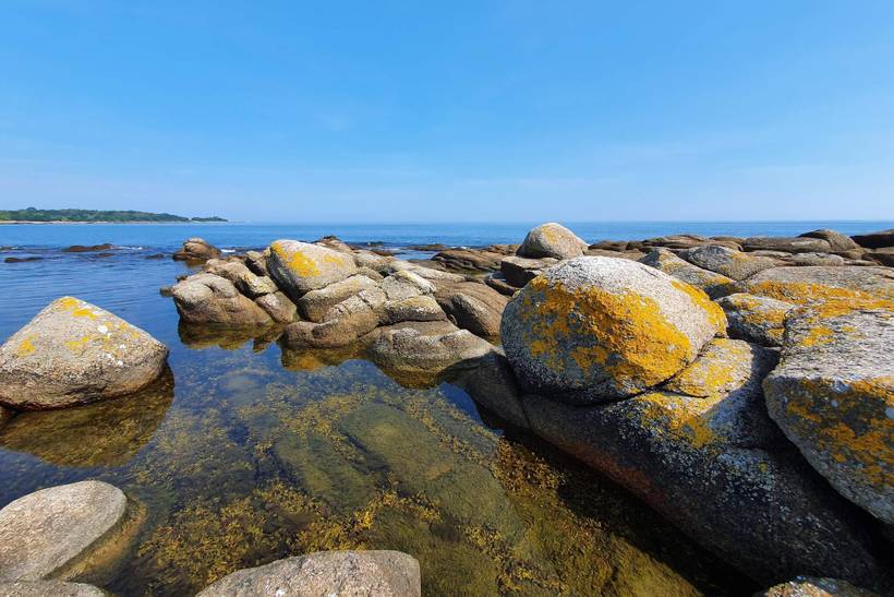 Foto von Ferienhaus NT31 in Svaneke - Bornholm