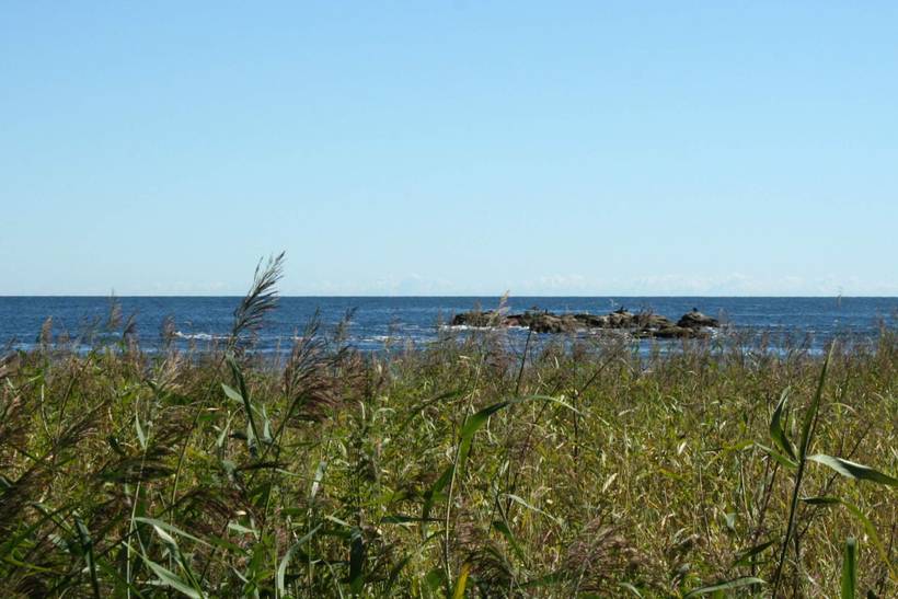 Foto von Ferienhaus NT31 in Svaneke - Bornholm