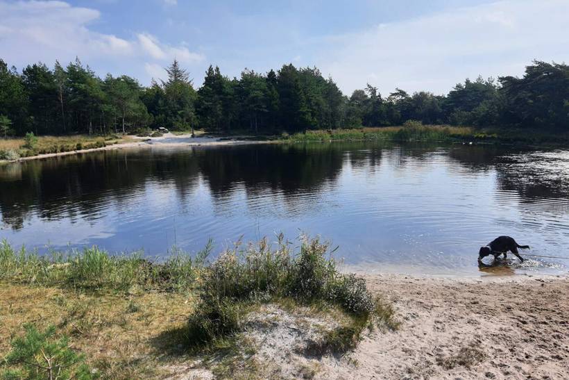 Foto von Ferienhaus NT40 in Kongsmark - Rømø