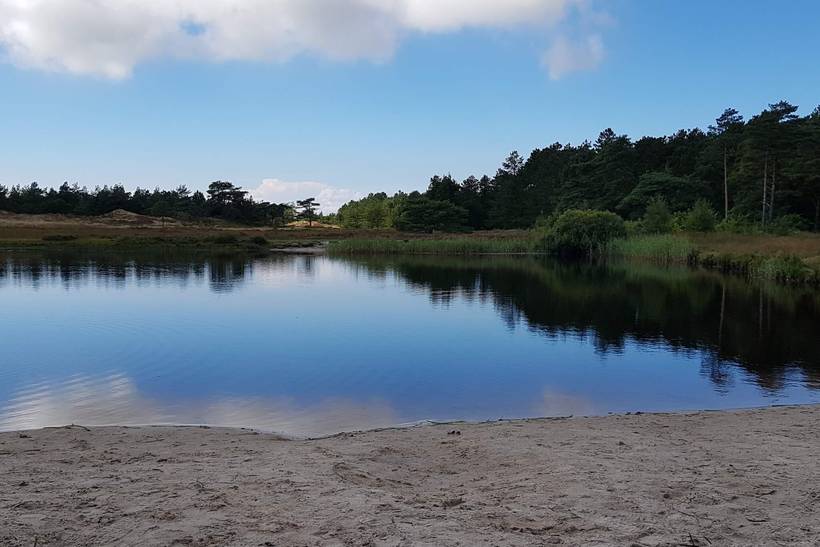 Foto von Ferienhaus NT40 in Kongsmark - Rømø