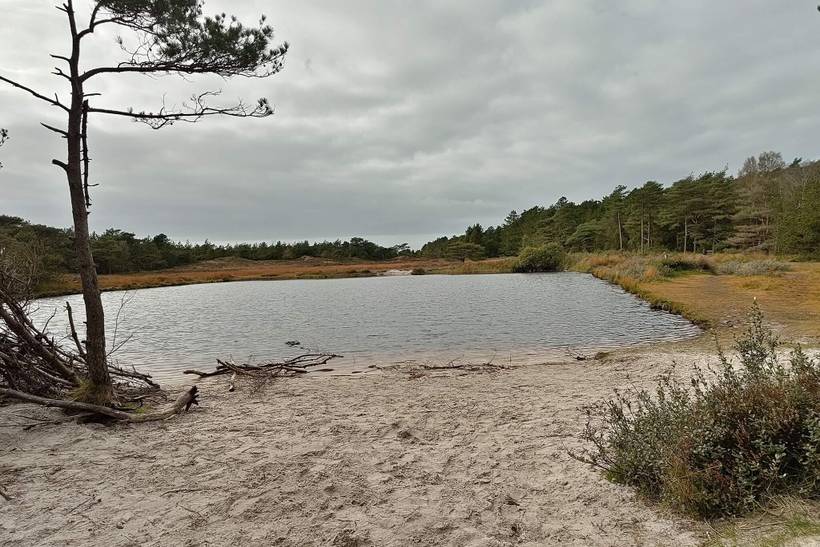 Foto von Ferienhaus NT40 in Kongsmark - Rømø