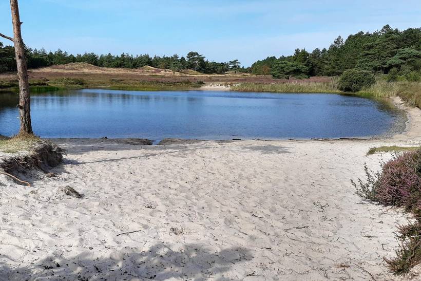 Foto von Ferienhaus NT40 in Kongsmark - Rømø
