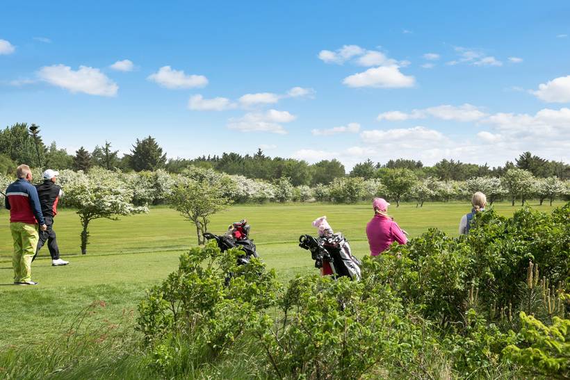 Foto von Ferienhaus NT44 in Ho - Blåvand - Westjütland