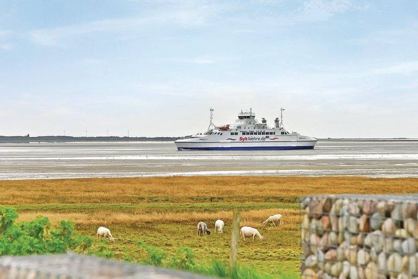 Foto von Ferienhaus NT53 in Havneby - Rømø