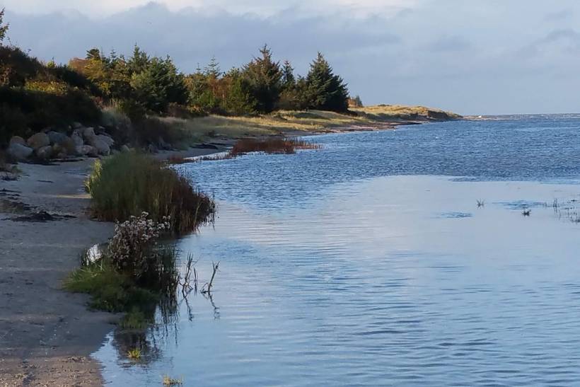 Foto von Ferienhaus NU56 in Hou - Nordjütland Ost