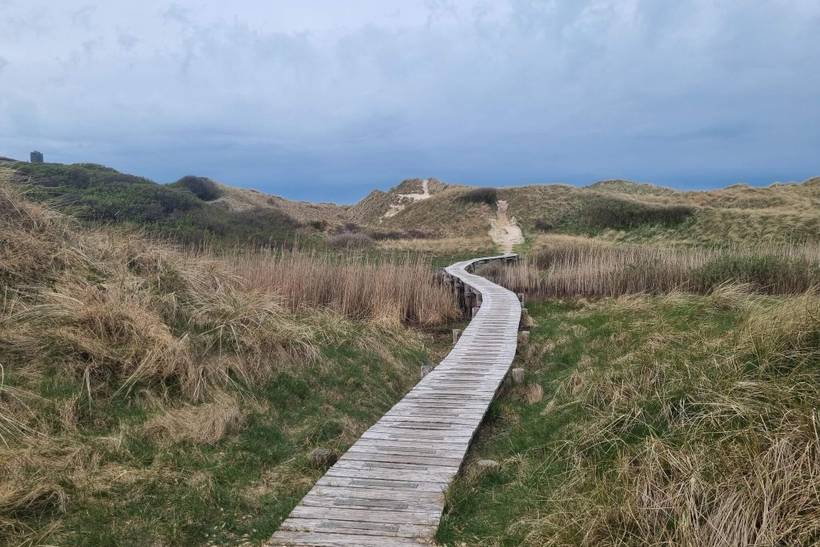 Foto von Ferienhaus NU92 in Hune - Blokhus - Nordjütland