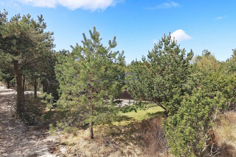 Foto von Ferienhaus NV07 in Thorup - Nordjütland