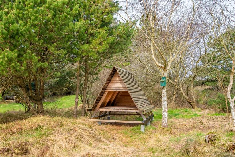 Foto von Ferienhaus NV10 in Henne Strand - Westjütland
