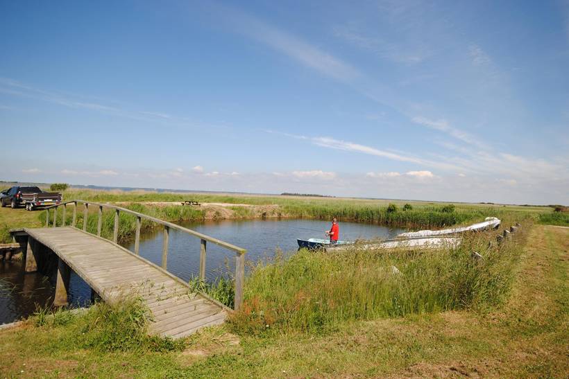 Foto von Ferienhaus NV27 in Lodbjerg Hede - Søndervig - Westjütland