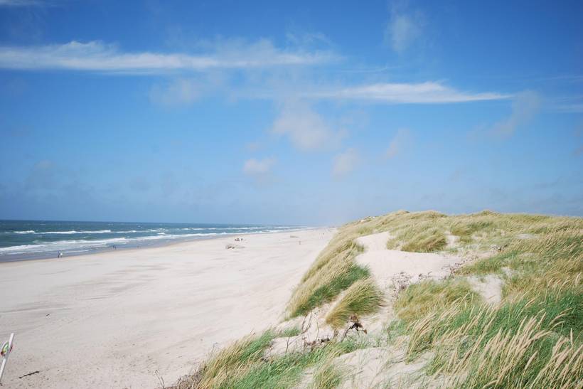 Foto von Ferienhaus NV27 in Lodbjerg Hede - Søndervig - Westjütland