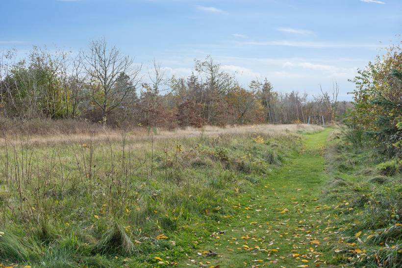 Foto von Ferienhaus NV36 in Nørhede - Fjand - Westjütland