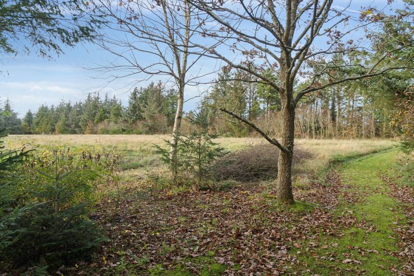 Foto von Ferienhaus NV36 in Nørhede - Fjand - Westjütland