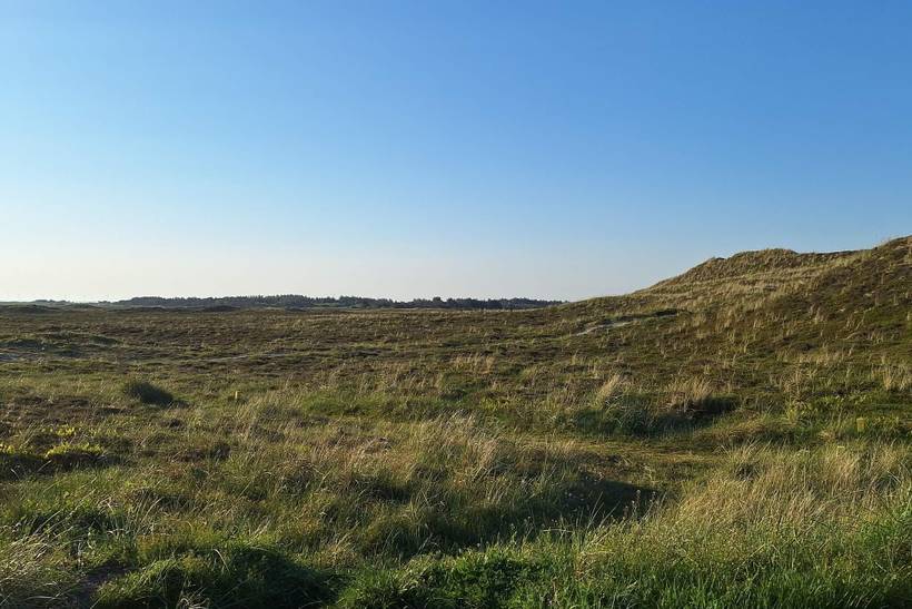 Foto von Ferienhaus NV49 in Bjerregård - Westjütland