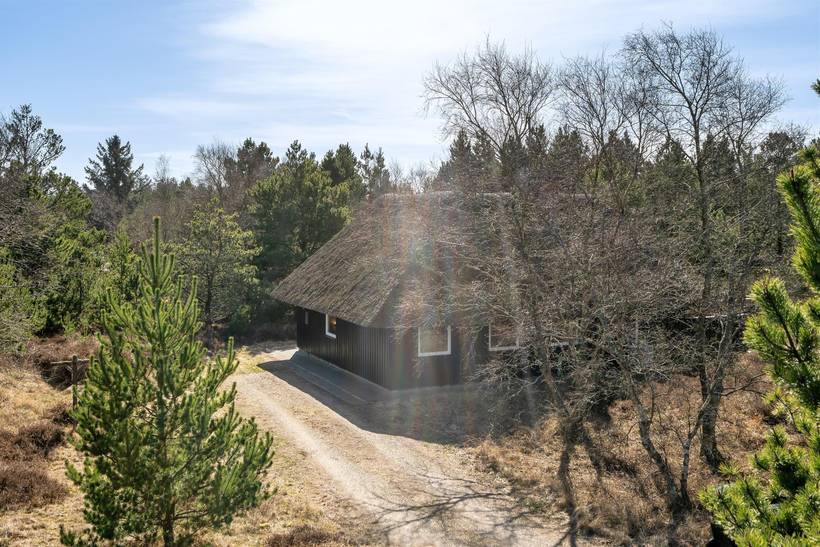 Foto von Ferienhaus NV58 in Blåvand - Westjütland