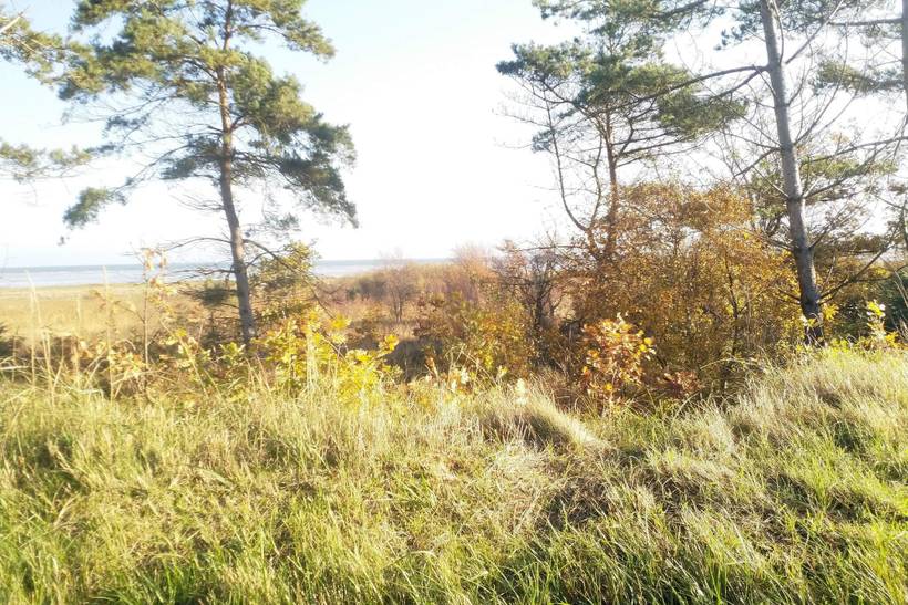 Foto von Ferienhaus NV64 in Øster Hurup - Nordjütland Ost
