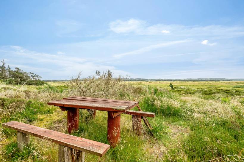Foto von Ferienhaus NV75 in Tranum - Slettestrand - Nordjütland