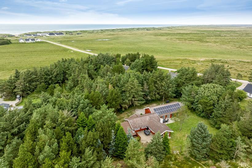 Foto von Ferienhaus NV75 in Tranum - Slettestrand - Nordjütland