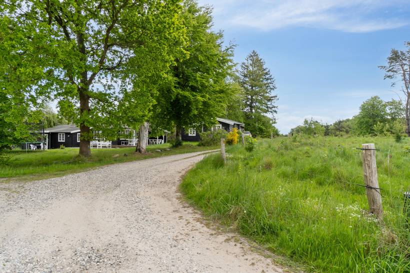 Foto von Ferienhaus NW70 in Tisvildeleje - Nordseeland