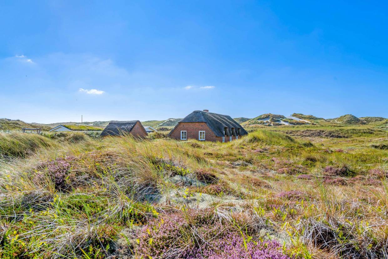 Foto von Ferienhaus NY44 in Houvig - Søndervig - Westjütland
