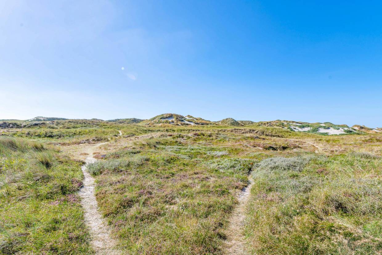 Foto von Ferienhaus NY44 in Houvig - Søndervig - Westjütland