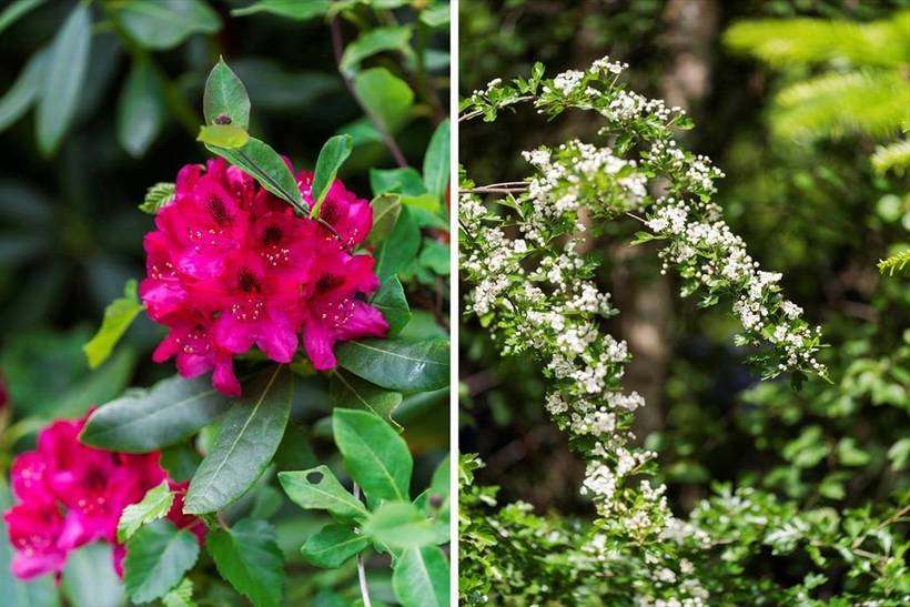 Foto von Ferienhaus OA20 in Nørhede - Fjand - Westjütland