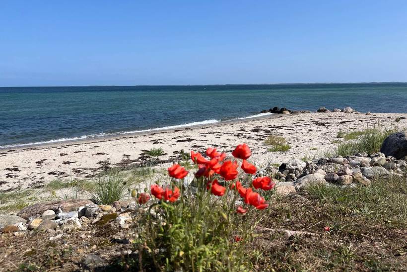 Foto von Ferienhaus OA44 in Hasmark - Nordfünen