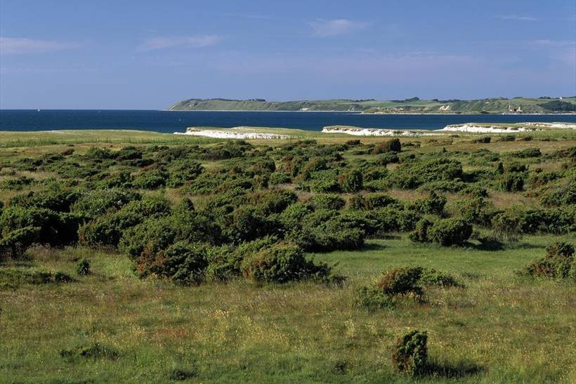 Foto von Ferienhaus OA92 auf Kaldred - Westseeland