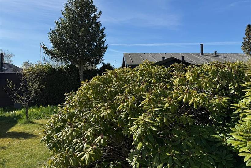 Foto von Ferienhaus OA97 in Saksild - Odder - Ostjütland