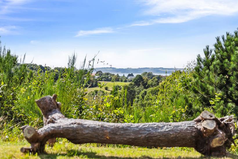 Foto von Ferienhaus OB88 in Ebeltoft - Ostjütland