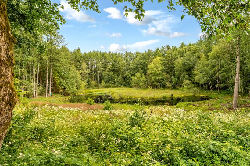 Foto von Ferienhaus OC00 in Sæby - Nordjütland Ost