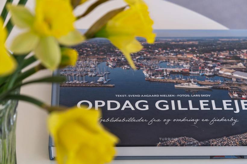 Foto von Ferienhaus OC20 in Smidstrup - Gilleleje - Nordseeland