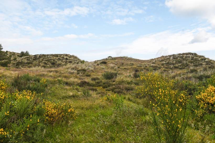 Foto von Ferienhaus OC88 in Blåvand - Westjütland