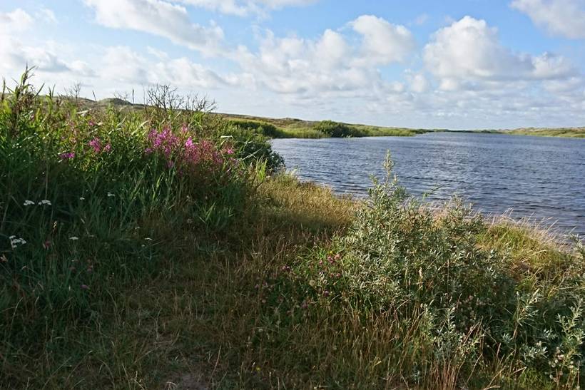 Foto von Ferienhaus OD00 in Houstrup - Westjütland