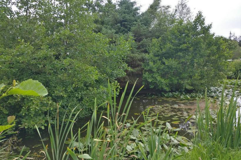 Foto von Ferienhaus OD00 in Houstrup - Westjütland