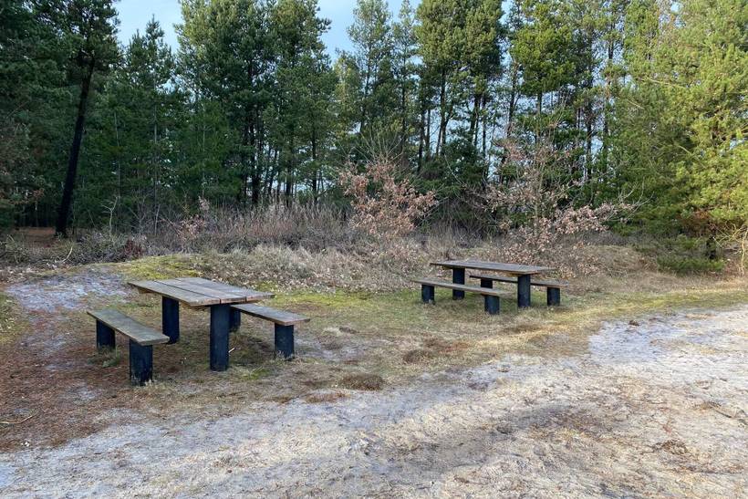 Foto von Ferienhaus OD00 in Houstrup - Westjütland