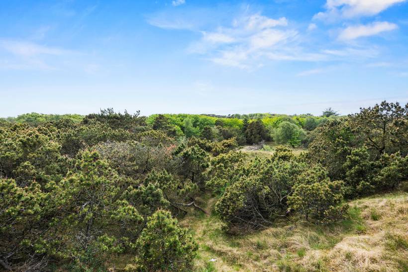 Foto von Ferienhaus OD25 in Fanø Bad - Fanø