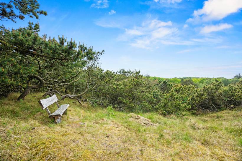 Foto von Ferienhaus OD25 in Fanø Bad - Fanø