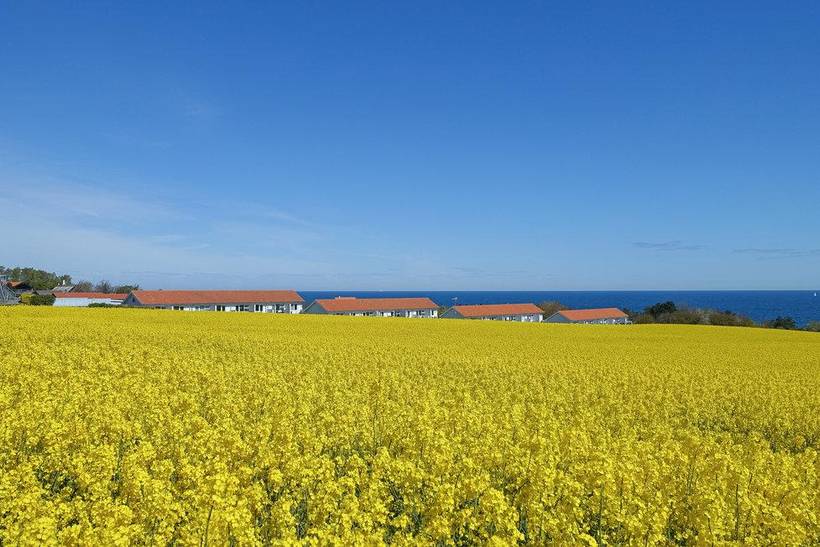 Foto von Ferienhaus OD49 in Sandkås - Bornholm