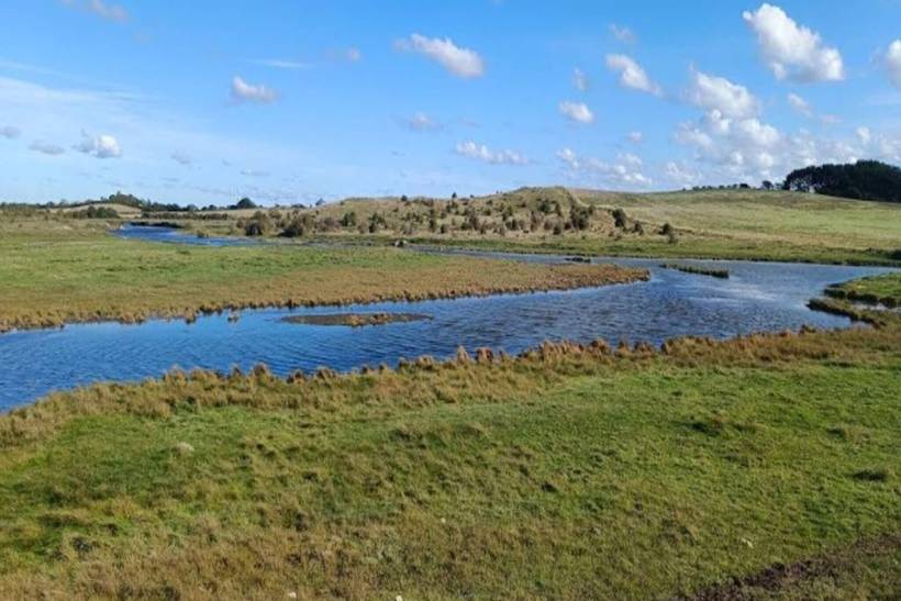 Foto von Ferienhaus OD86 in Ærøskøbing - Ærø