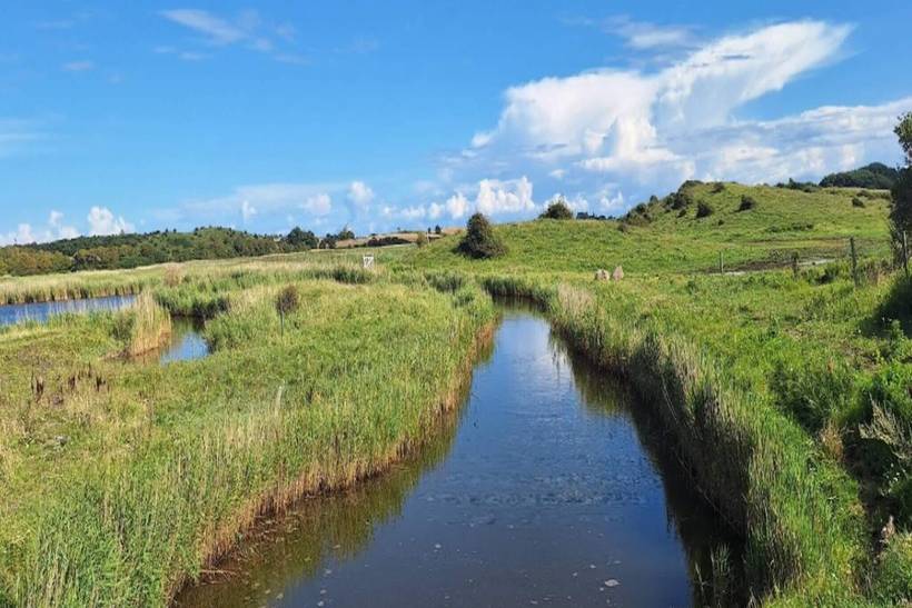 Foto von Ferienhaus OD86 in Ærøskøbing - Ærø