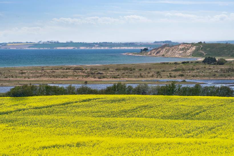 Foto von Ferienhaus OD88 in Helnæs - Südfünen