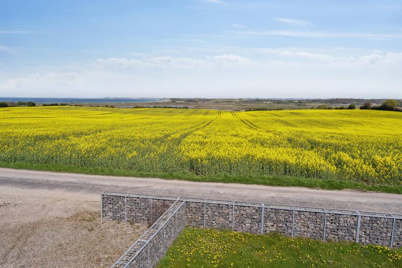 Foto von Ferienhaus OD88 in Helnæs - Südfünen