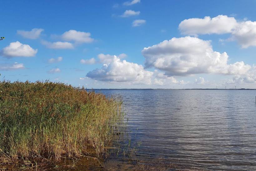 Foto von Ferienhaus OD93 in Nørhede - Fjand - Westjütland