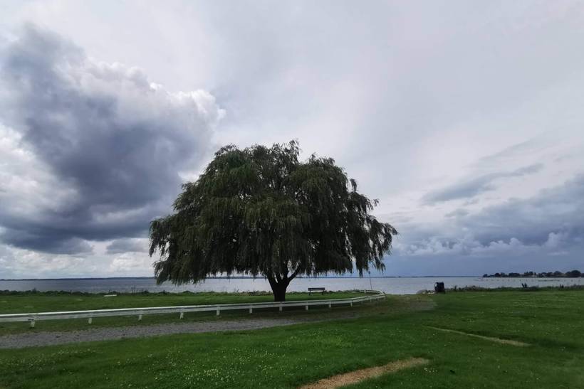 Foto von Ferienhaus OD96 auf Stege - Møn