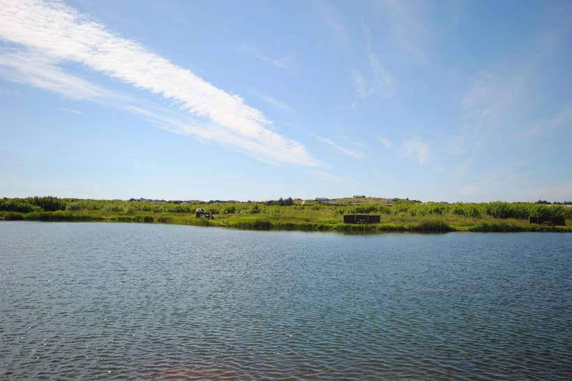 Foto von Ferienhaus OF75 in Lodbjerg Hede - Søndervig - Westjütland