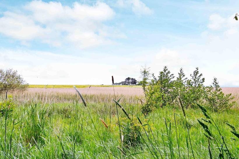Foto von Ferienhaus OG02 in Jegindø - Thy/Limfjord