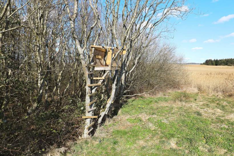 Foto von Ferienhaus OG02 in Jegindø - Thy/Limfjord
